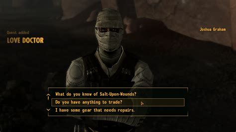 fallout new vegas romance mods